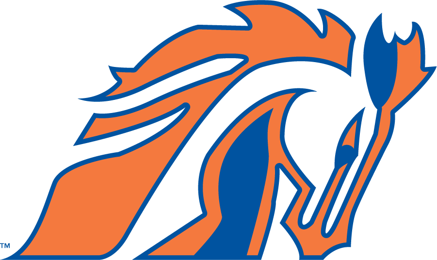 Boise State Broncos 1981-1983 Secondary Logo iron on transfers for clothing